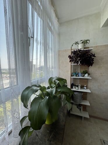 купит квартиру бишкек: 2 комнаты, 80 м², Элитка, 8 этаж, Евроремонт — 14
