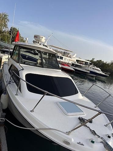 животные в аренду: Морские прогулки и круизы на катере по Иссык‑Кулю с профессиональным — 1
