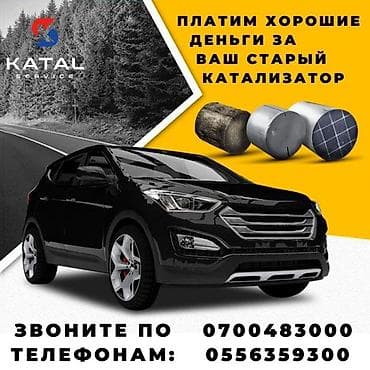 Скупка катализаторов катализатор катализаторов прием