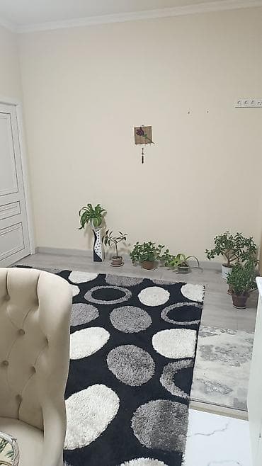 Земельные участки: 2 комнаты, 50 м², Элитка, 2 этаж — 2