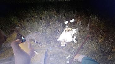 hdmi: Ноутбук с установленной Windows и рабочим экраном. Классический 15–16" — 3