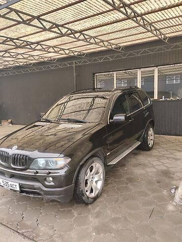 BMW X5: 2004 г., 4.4 л, Автомат, Бензин, Кроссовер