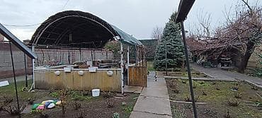 сасновка уй: 4 соток, Для бизнеса — 3
