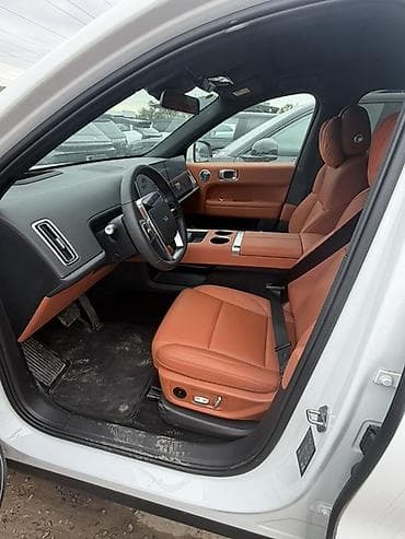 подушка на авто: Lixiang L6: 2025 г., Гибрид, Кроссовер — 3