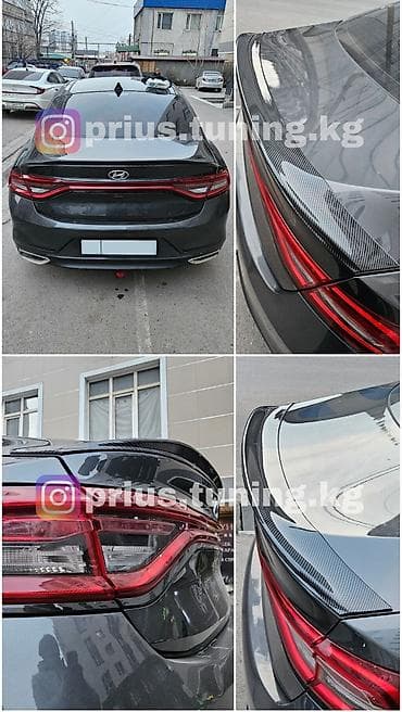 запчасть нексия 1: Декоративные накладки На зеркала, Пластик, Hyundai, Новый, Самовывоз, Платная доставка — 6
