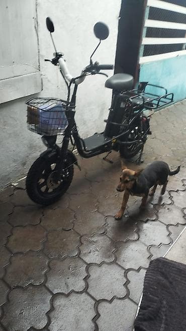 Электровелосипед, Новый