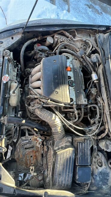 куплю аккорд: Honda Accord: 2005 г., Автомат, Газ — 5