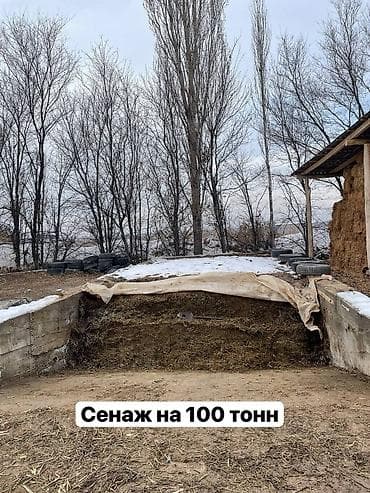 бокс сдаю: Ферма КРС, 1000 соток, Действующий, С оборудованием, Электричество, Отопление, Скважина — 10