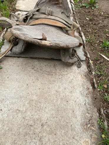 где можно купить молодых кур несушек: Антикварное седло, возраст 150 лет Редкое старинное седло, которое — 4