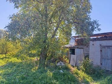 дом с беш кунгей: Дом, 50 м², 3 комнаты, Собственник, Косметический ремонт — 3