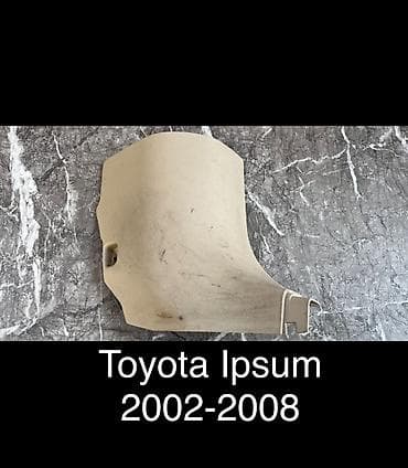 Жарыктандыруу системалары: Пластик салона Ipsum Для моделей: 2002г.в - 2008г.в Пластик в — 1