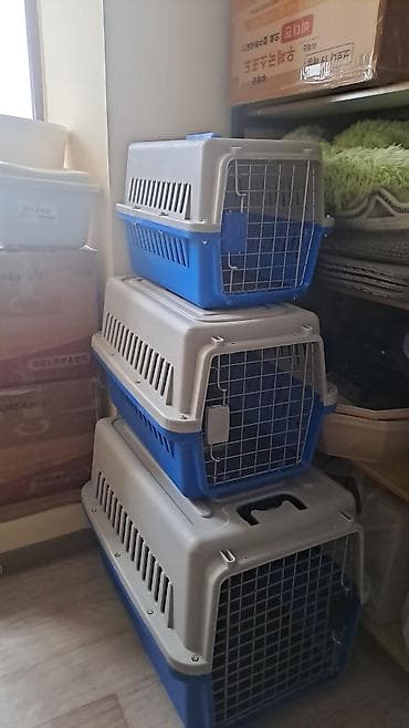 Услуги ветеринара: Состояние; новое доставка платная. Зоотовары Переноска для животных — 6