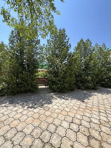 Недвижимость: 🏡 ГОТОВЫЙ ГОСТЕВОЙ ДОМ НА ИССЫК-КУЛЕ — ГОТОВЫЙ БИЗНЕС ДЛЯ ПОЛУЧЕНИЯ — 7
