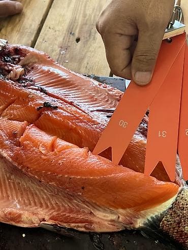 бани на дровах: Свежая форель - Натуральный вкус, красное филе с выраженной — 4