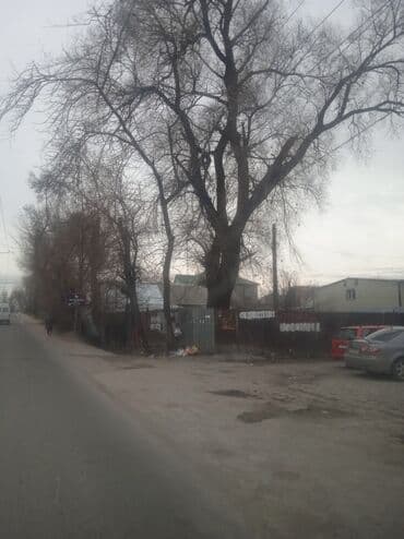 Бала бакчалар, бала багуучулар: Пильщик#1 по городу спилю все всегда стараюсь чтобы вам нравились как — 6