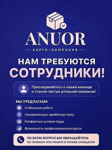 народный вакансии: Вакансии в карго-компании ANUOR Компания приглашает новых — 1
