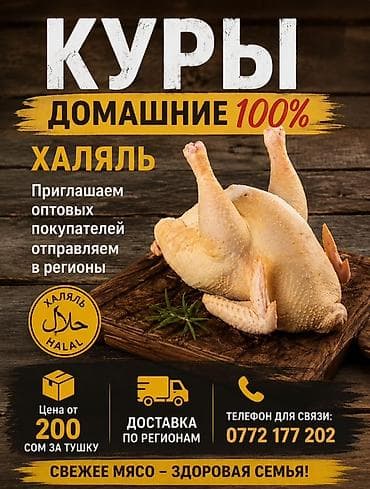ДОМАШНИЕ КУРЫ🐓бульонные Свежие,экологические, мясистые халяльные at lalafo.kg ДОМАШНИЕ КУРЫ🐓бульонные Свежие,экологические, мясистые халяльные
