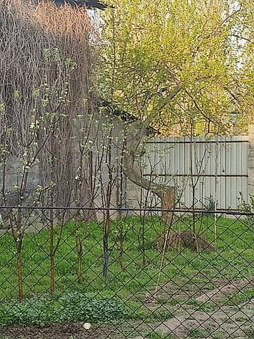 один штук: Продаётся частный дом с участком. - Двухэтажный дом из капитального — 6