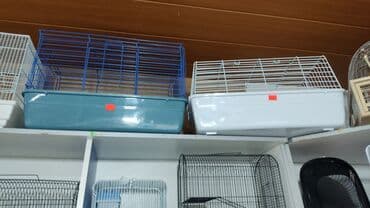 вольер: Вольеры для птиц! — 6