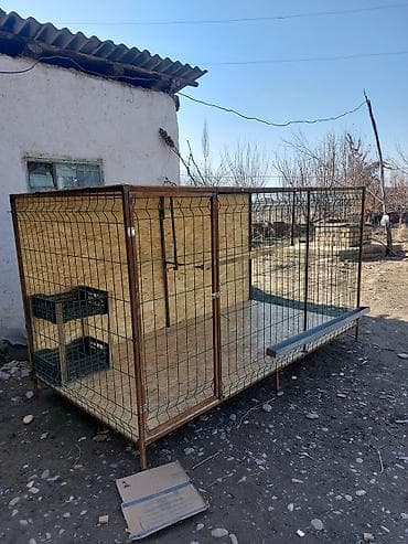 дробилка для корм: Тоокторго Тоок Капас узуну 2,50 турасы 1,25 Бийиктиги 1,25 Шаар — 1