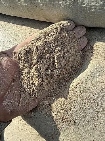 морковь кормовая: Гороховая мучка Чечевичная мучка Гороховые отруби Чечевичные отруби — 6