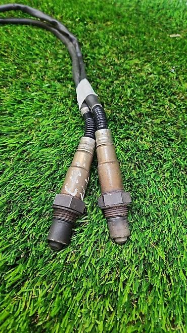 Лямдазонд 53см 7 512 —-982 Год 2004 Цена 1000сом шт В отличном