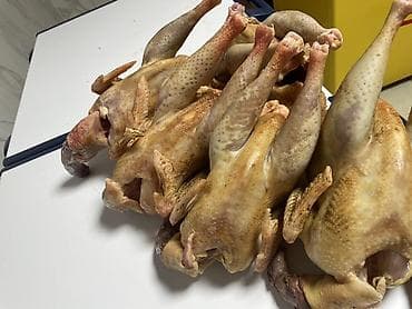 тошоки бишкек: Домашние куры, кормленные кукурузой 600 сом за 1 кг — 2