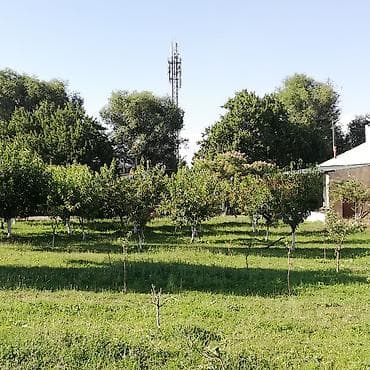 бишкек жер уй сатылат: 28 соток, Бизнес үчүн, Кызыл китеп, Техпаспорт, Сатып алуу-сатуу келишими — 3