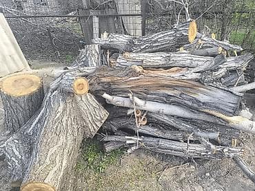 сортир: Дрова Самовывоз — 2