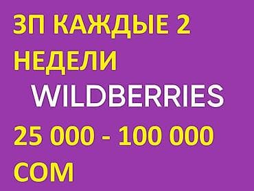 Ищу в проект менеджера WILDBERRIES кандидаты до 25 лет На полную