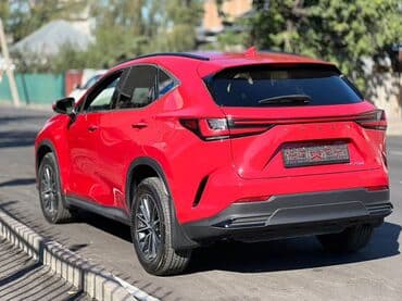 Суу транспорту: Lexus NX: 2022 г., Автомат, Бензин, Кроссовер — 9