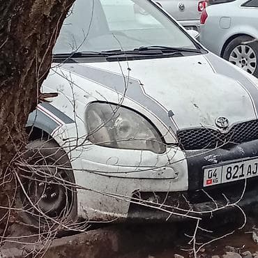 Toyota: Toyota Yaris: 2003 г., 1.5 л, Ручные, Бензин, Хэтчбэк — 1