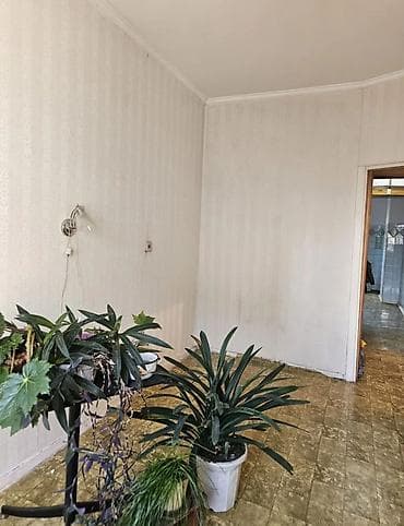 3 к: 3 комнаты, Собственник, С мебелью частично — 3