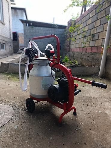 молочный танк: Продаю в идеальном состоянии турецкий доильный аппарат для коров.почти — 4