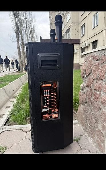 Аренда колонки 999 в сутки эки микрофону менен — 2