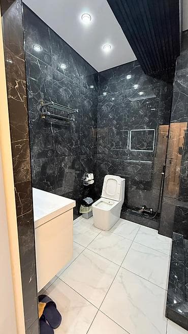800: 1 комната, 41 м², Элитка, 11 этаж, Евроремонт — 6