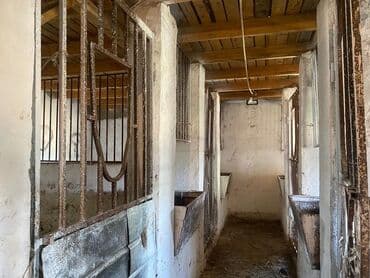 сдаю дом без хозяин: Сдается помещение 1500тыс КВ м имеются 3 сарая 1навес 1конюшня — 4