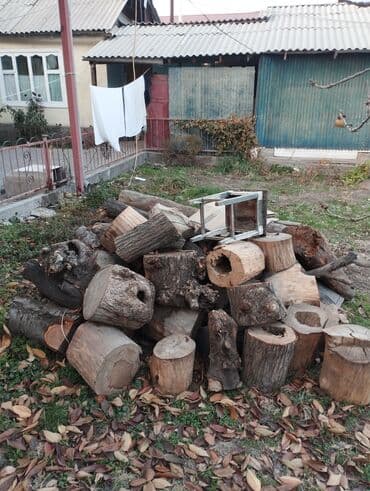 Садовые инструменты и инвентарь: Дрова Самовывоз — 1