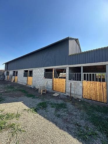 дом жм ынтымак: 7 соток, Бизнес үчүн, Кызыл китеп — 4