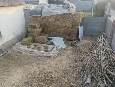 аппарат для дойки коров: Сено в тюках 2 укос - Прессованное сено в стандартных прямоугольных — 1