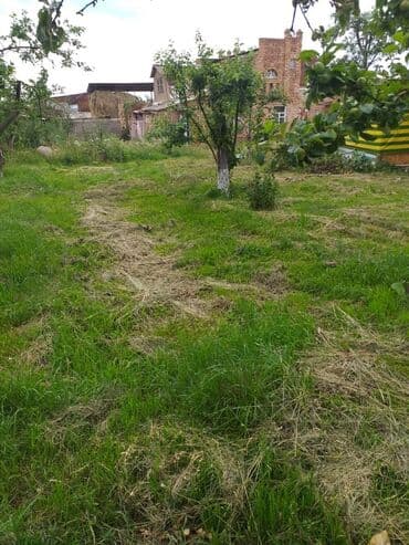 советский щербакова дом: Дом, 200 м², 5 комнат, Собственник, Косметический ремонт — 3