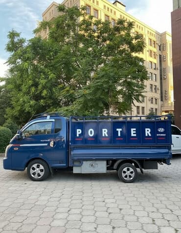 Легкий грузовик, Hyundai