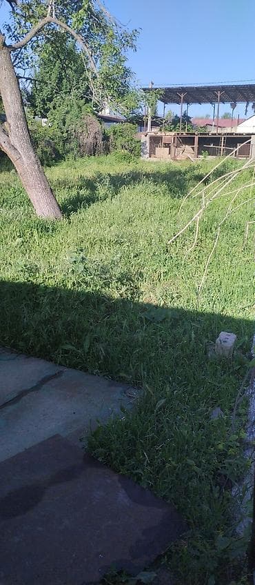 участок за город: 45 соток, Для бизнеса — 5