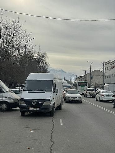 x 7: Mercedes-Benz Sprinter — грузоперевозки и услуги фургона - Тип авто — 2