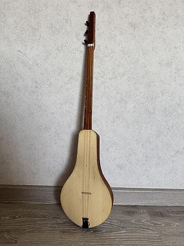 Велоаксессуары: Комуз өрүк-кангак
Чехол менен — 1