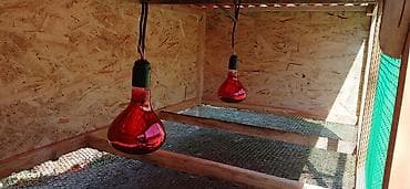 курица для шаурмы: Передвижной уличный мини-курятник/вольер для птицы. Характеристики: - — 6