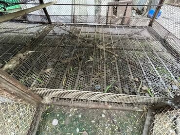 продажа щенков немецкой овчарки с документами в бишкеке: Продаю железную клетку, пол из высечки, бока сетка, можно разделить на — 7