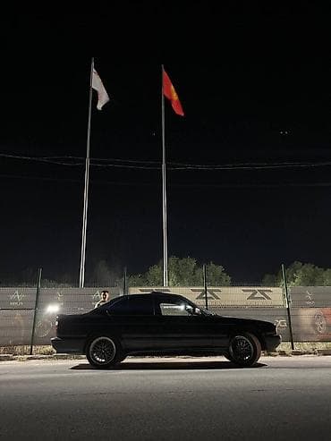 мотор морнинг: BMW 5 series: 1995 г., 2.5 л, Бензин, Седан — 5