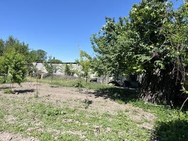 участок дом село кок жар: Дом, 25000 м², 5 комнат, Собственник, Старый ремонт — 14