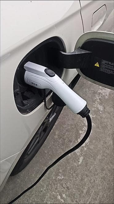 e 303: Зарядное устройство для электромобилей (EVSE) с дисплеем, розеткой 220 — 2